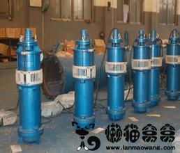 潜水电泵使用“八忌”