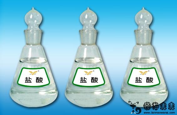 盐酸工业中泵用材料的选用